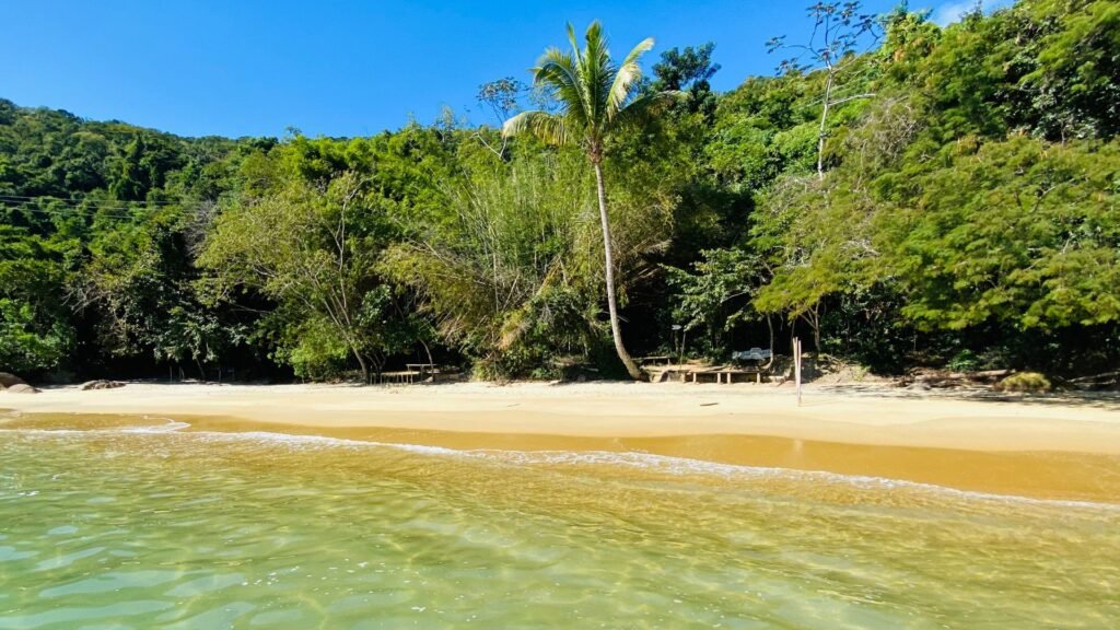 Praia da Feiticeira Natureza, Cachoeira e Tranquilidade na Ilha Grande